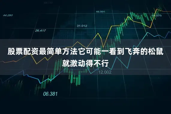 股票配资最简单方法它可能一看到飞奔的松鼠就激动得不行