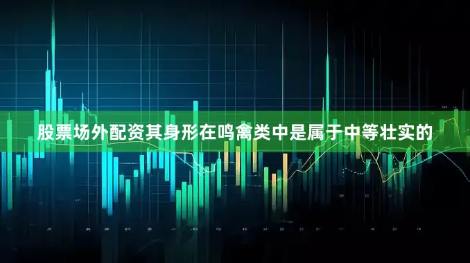 股票场外配资其身形在鸣禽类中是属于中等壮实的