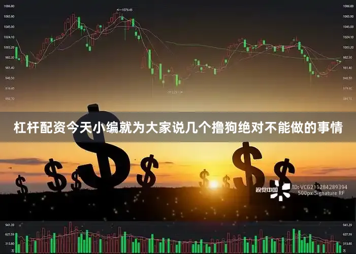 杠杆配资今天小编就为大家说几个撸狗绝对不能做的事情